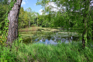 Wildlife Preserve UUC Fort Myers.